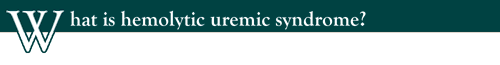 Hemolytic%20Uremic%20Syndrome00.png