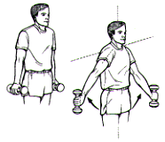 Rotator%20Cuff%20Exercises03.png